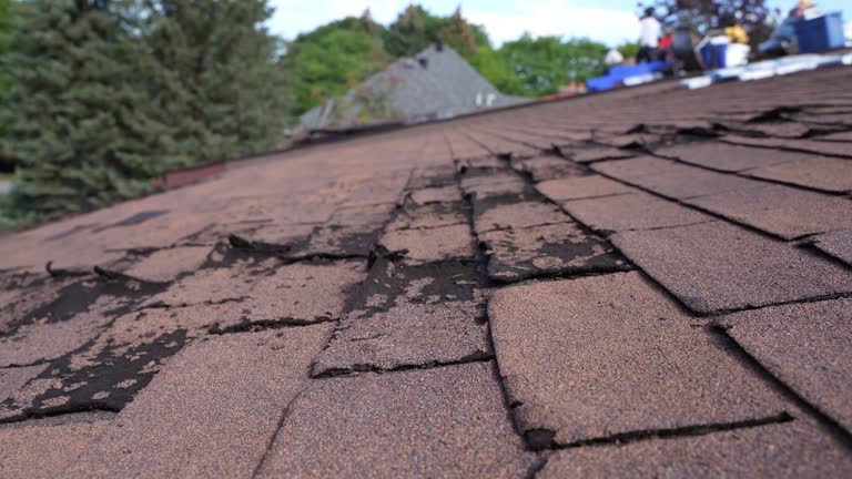 Best Chimney Flashing Repair  in Santa Paula, CA
