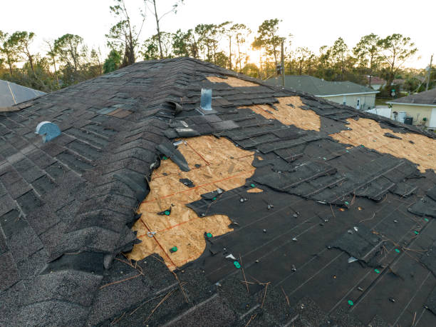  Santa Paula, CA Roofing Service Pros