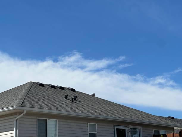 Best Emergency Roof Repair Services  in Santa Paula, CA